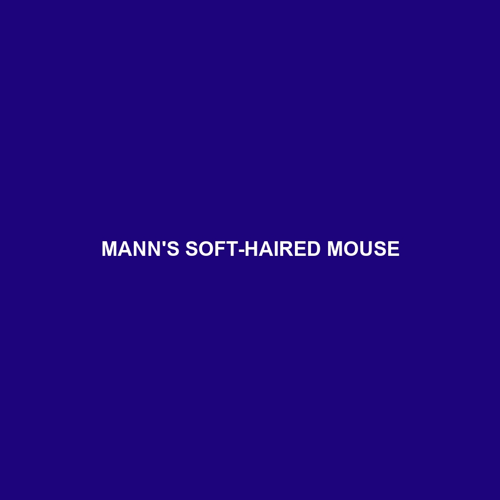 Mann's Soft-haired Mouse