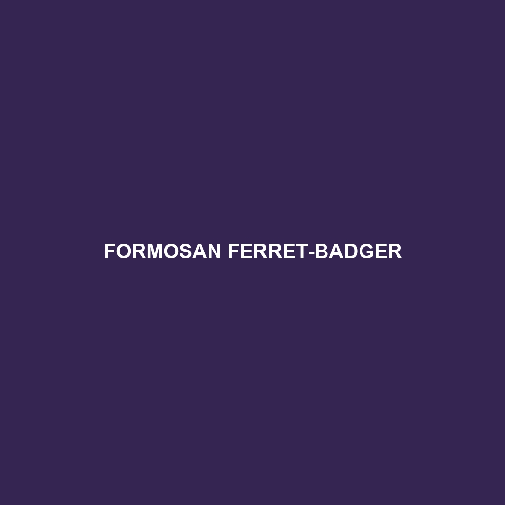 Formosan Ferret-badger