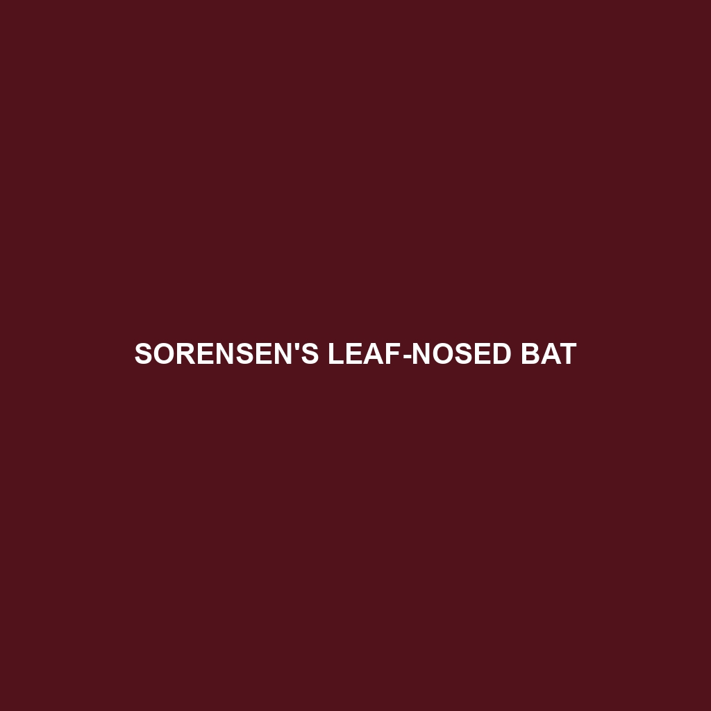 Sorensen's Leaf-nosed Bat