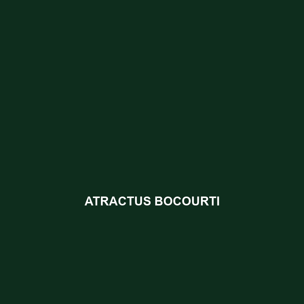 Atractus bocourti