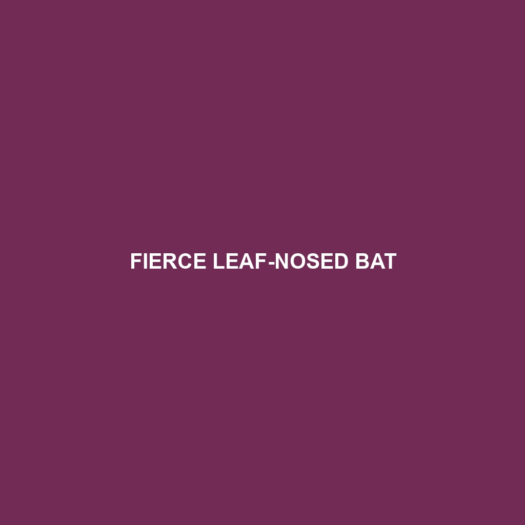 Bornean Leaf-nosed Bat