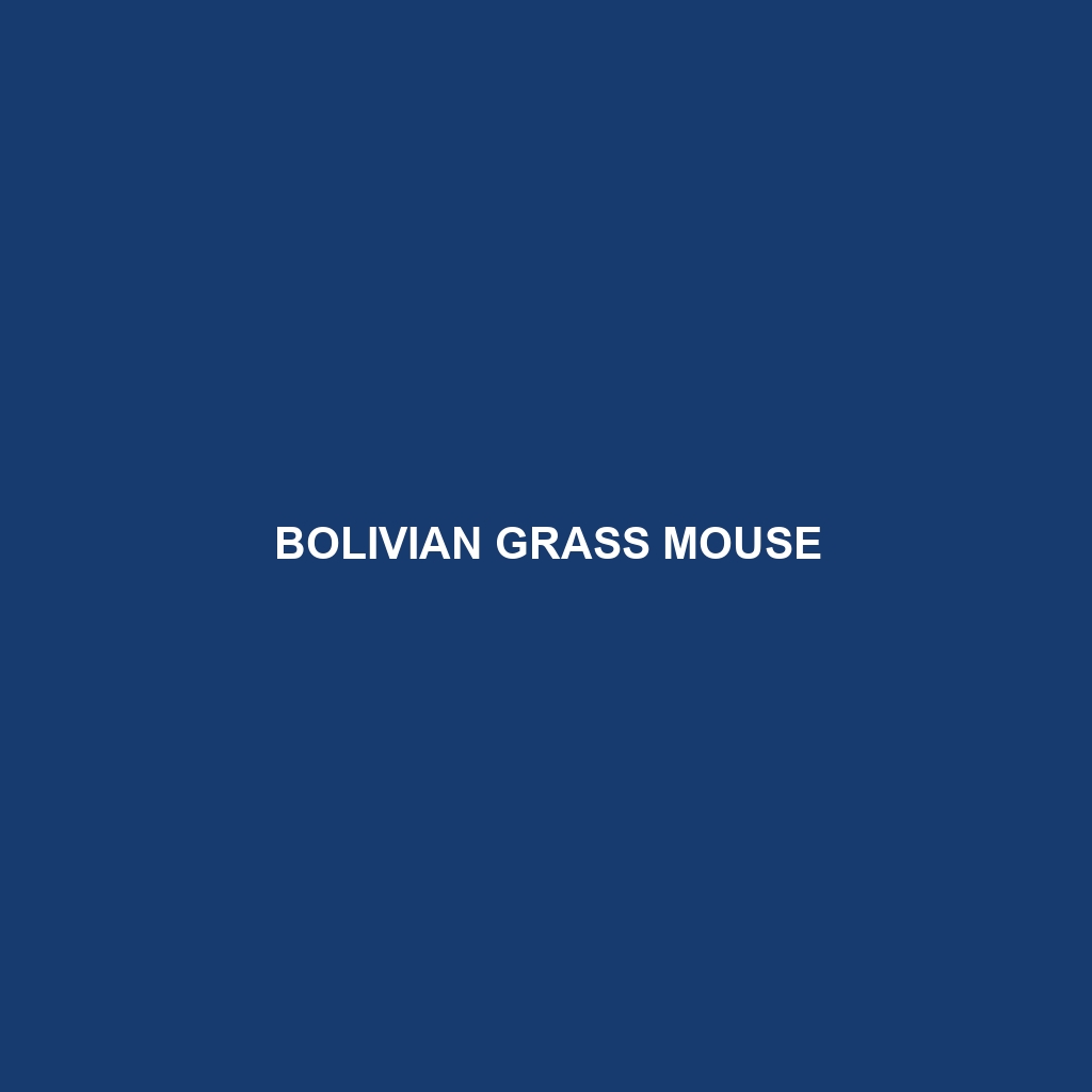 Bolivian Grass Mouse