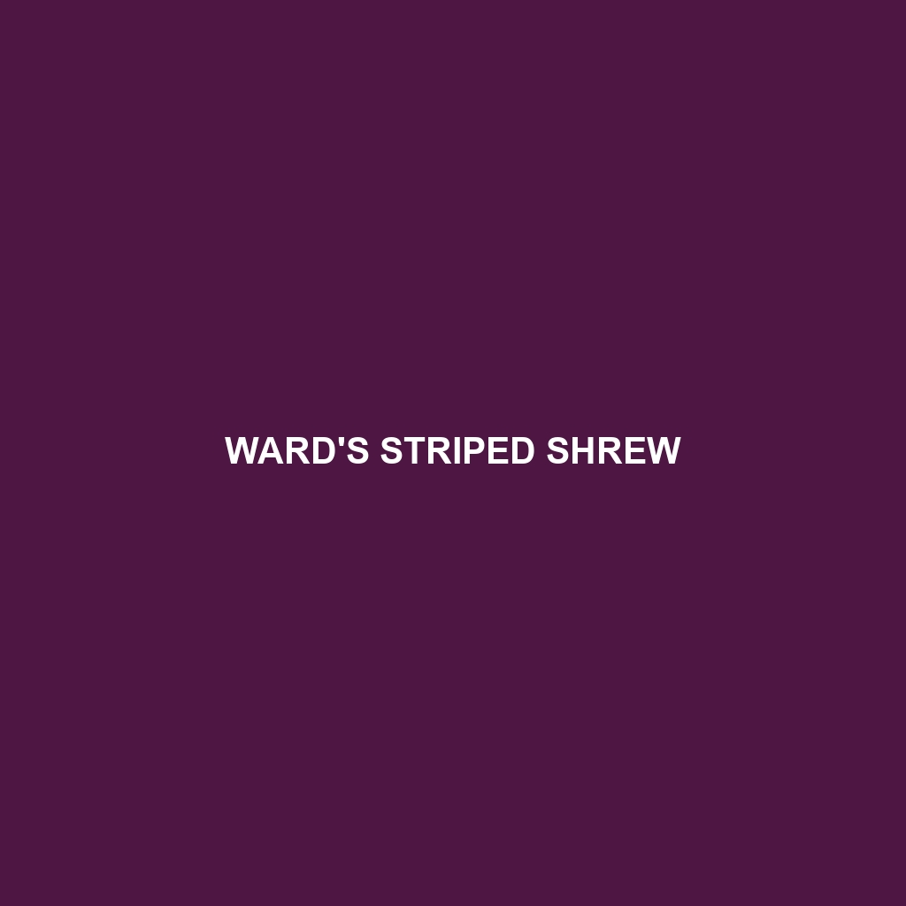 Ward's Striped Shrew