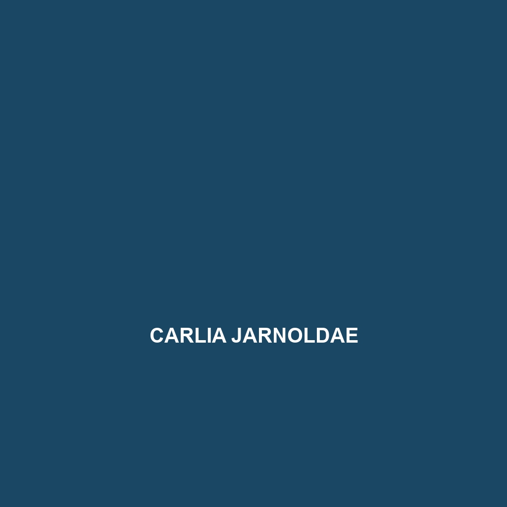 Carlia jarnoldae