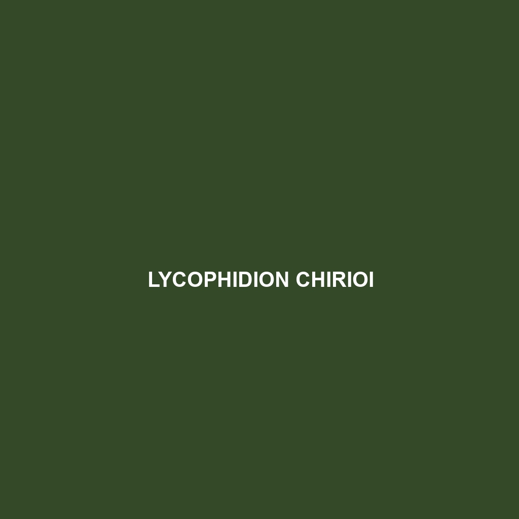 Lycophidion chirioi