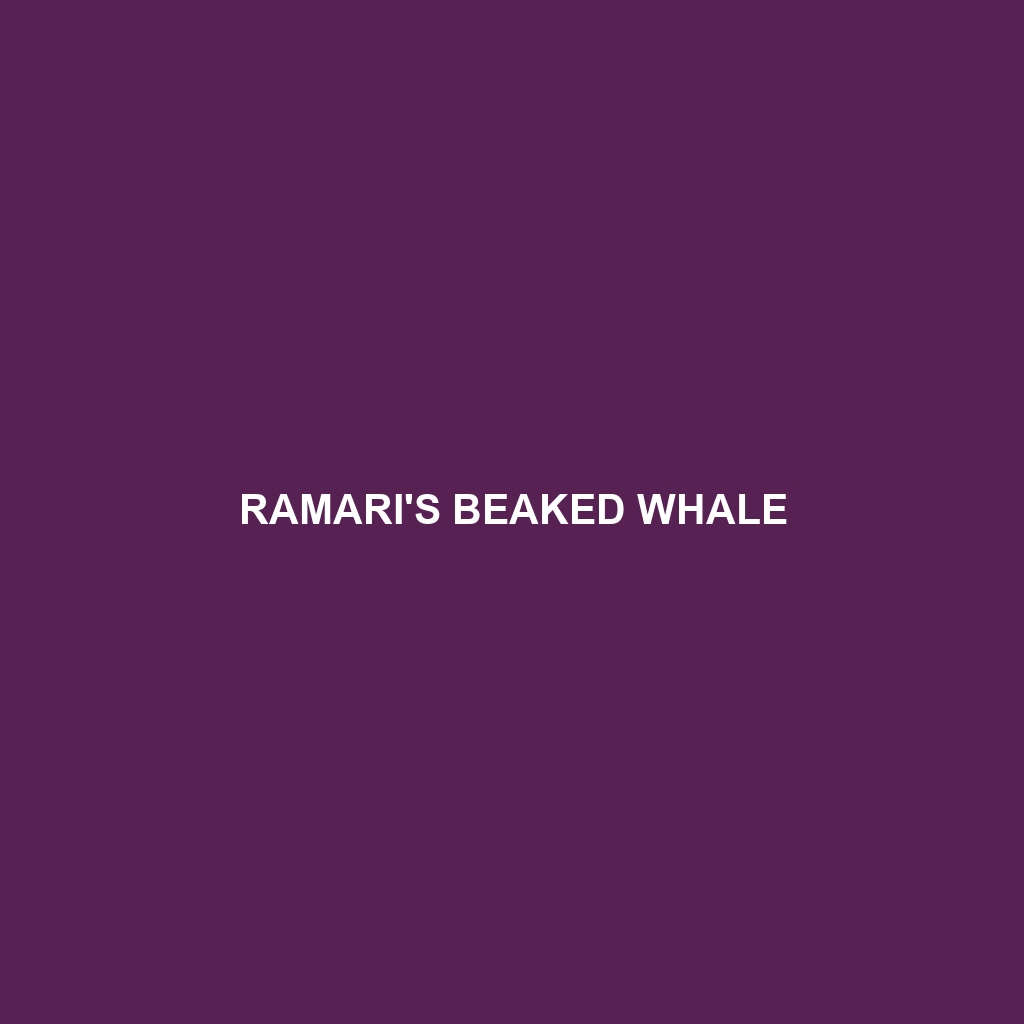 Ramari's Beaked Whale