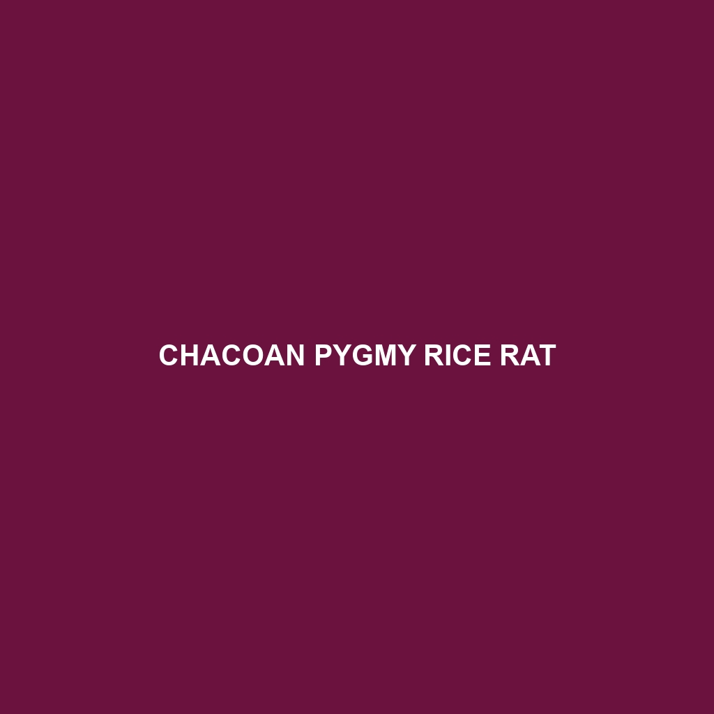 Chacoan Pygmy Rice Rat