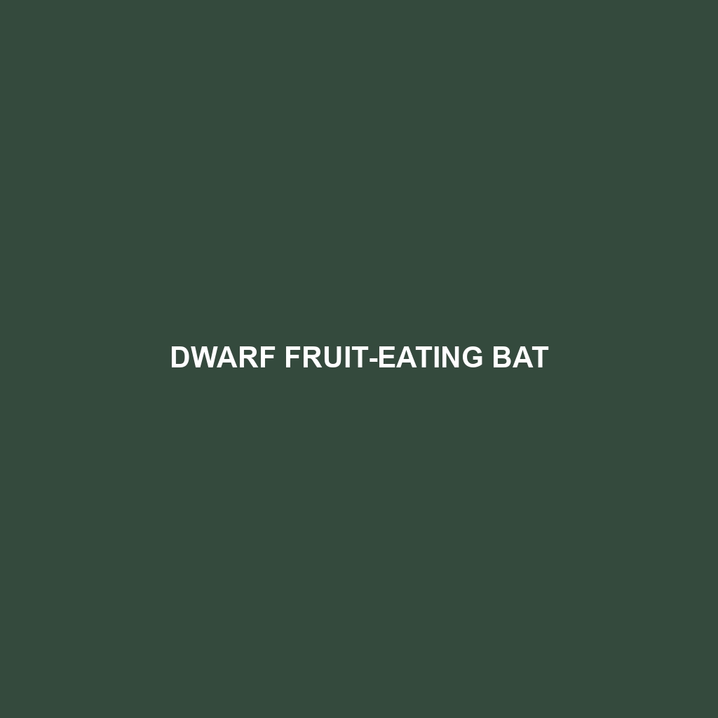 Dwarf Fruit-eating Bat