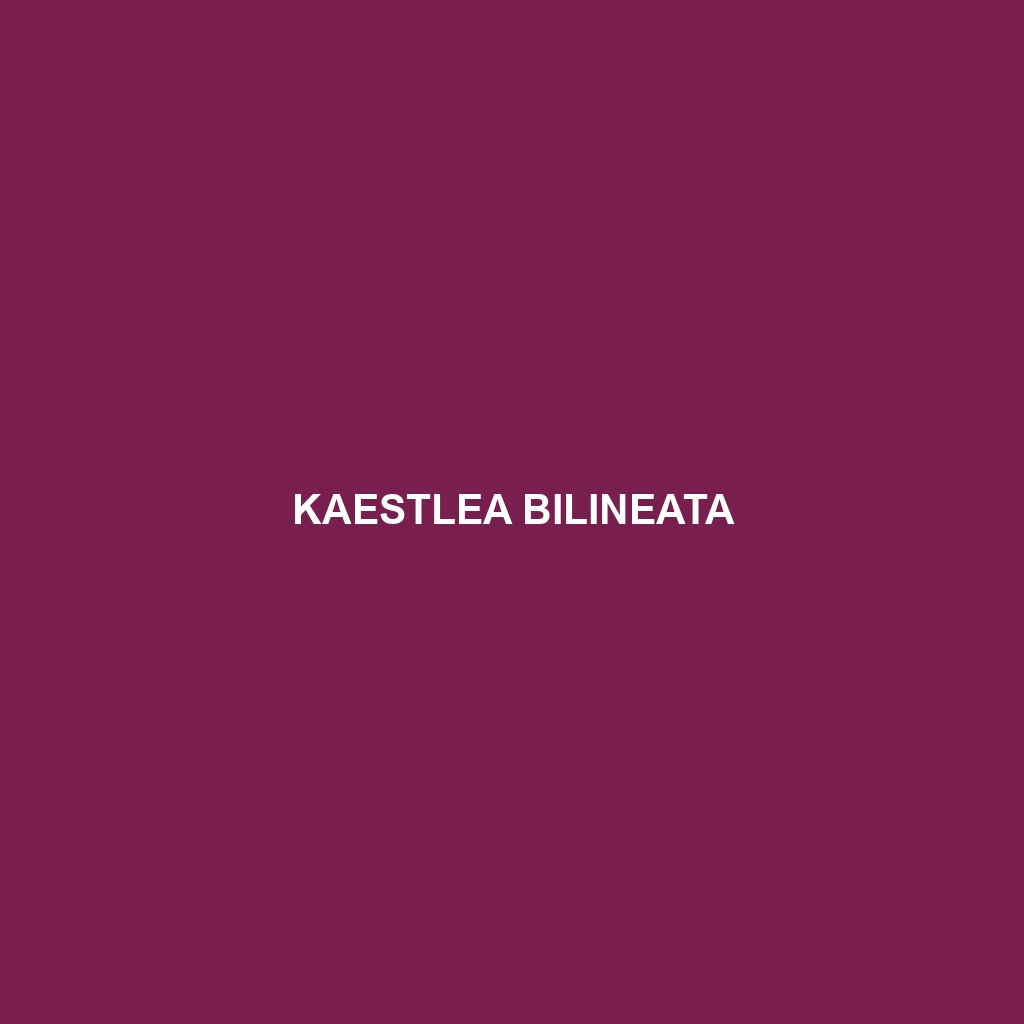 Kaestlea bilineata