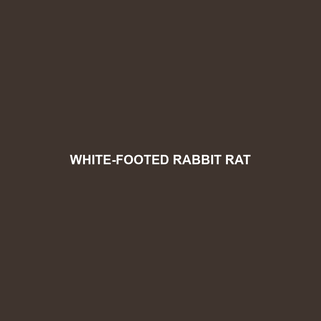 White-footed Rabbit Rat