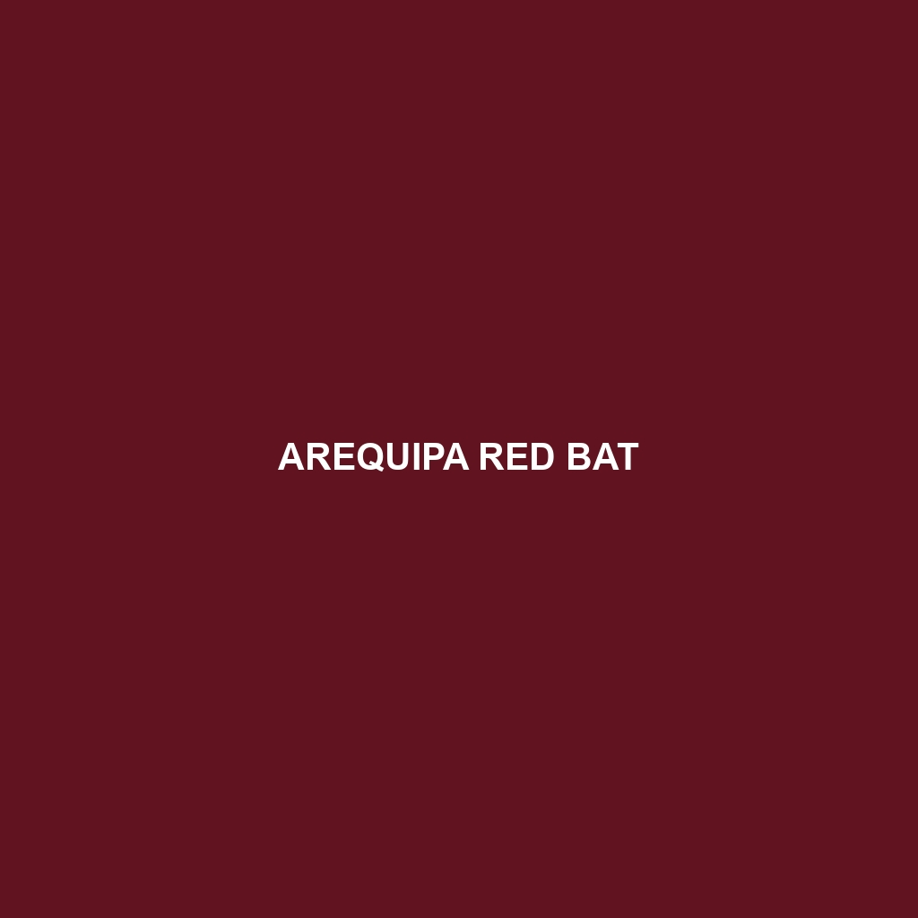 Arequipa Red Bat