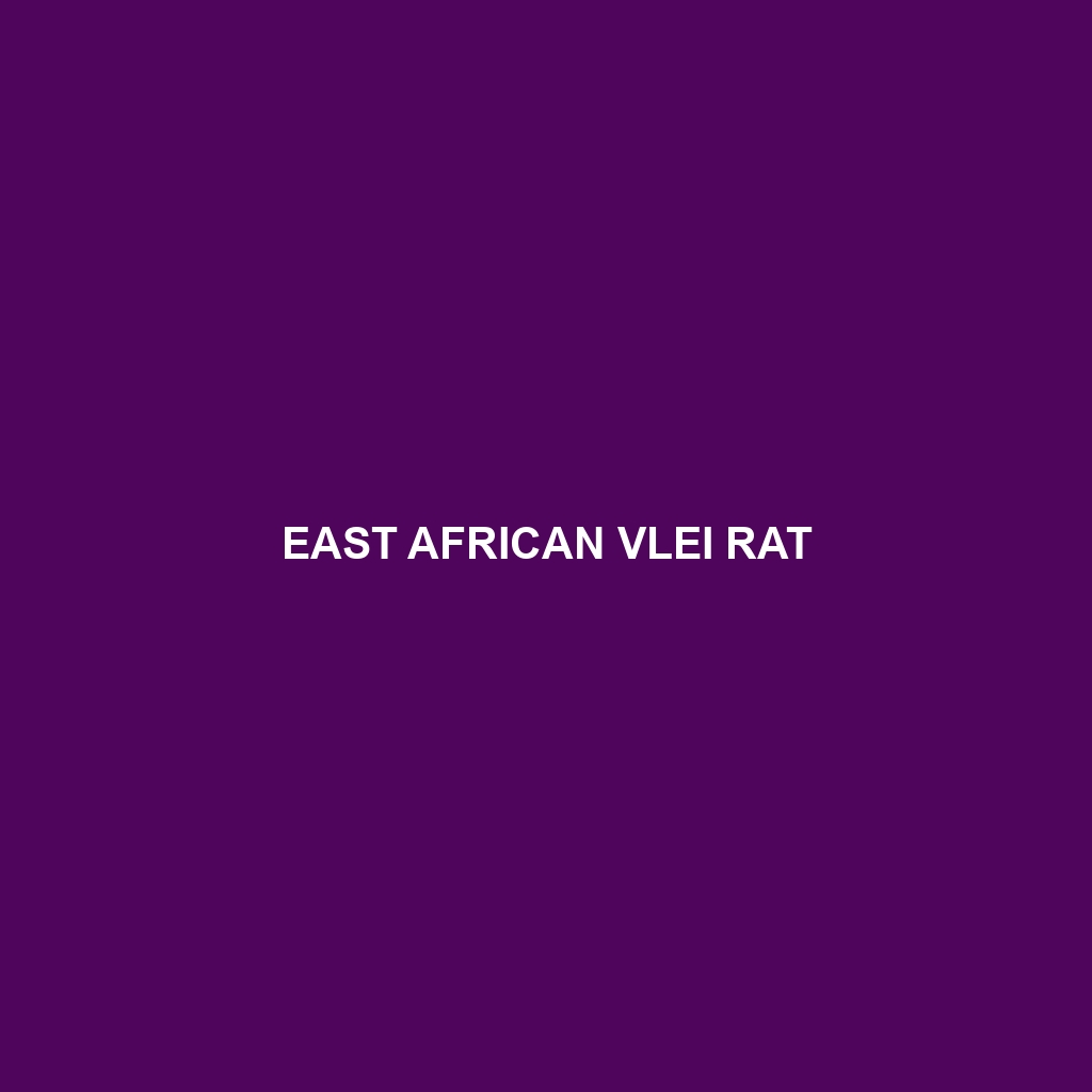 East African Vlei Rat