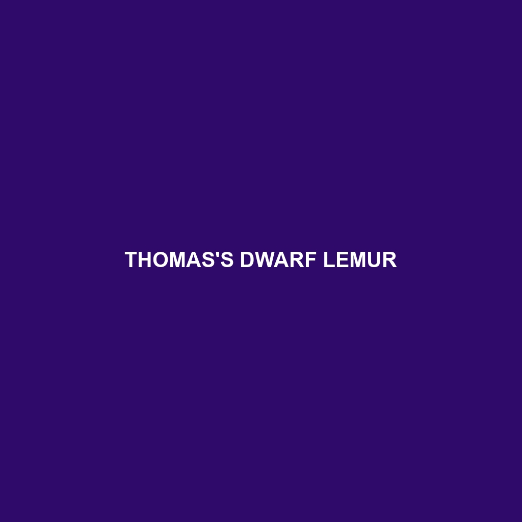 Thomas's Dwarf Lemur