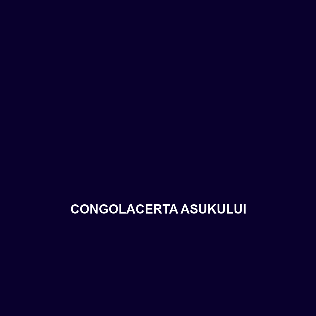 Congolacerta asukului