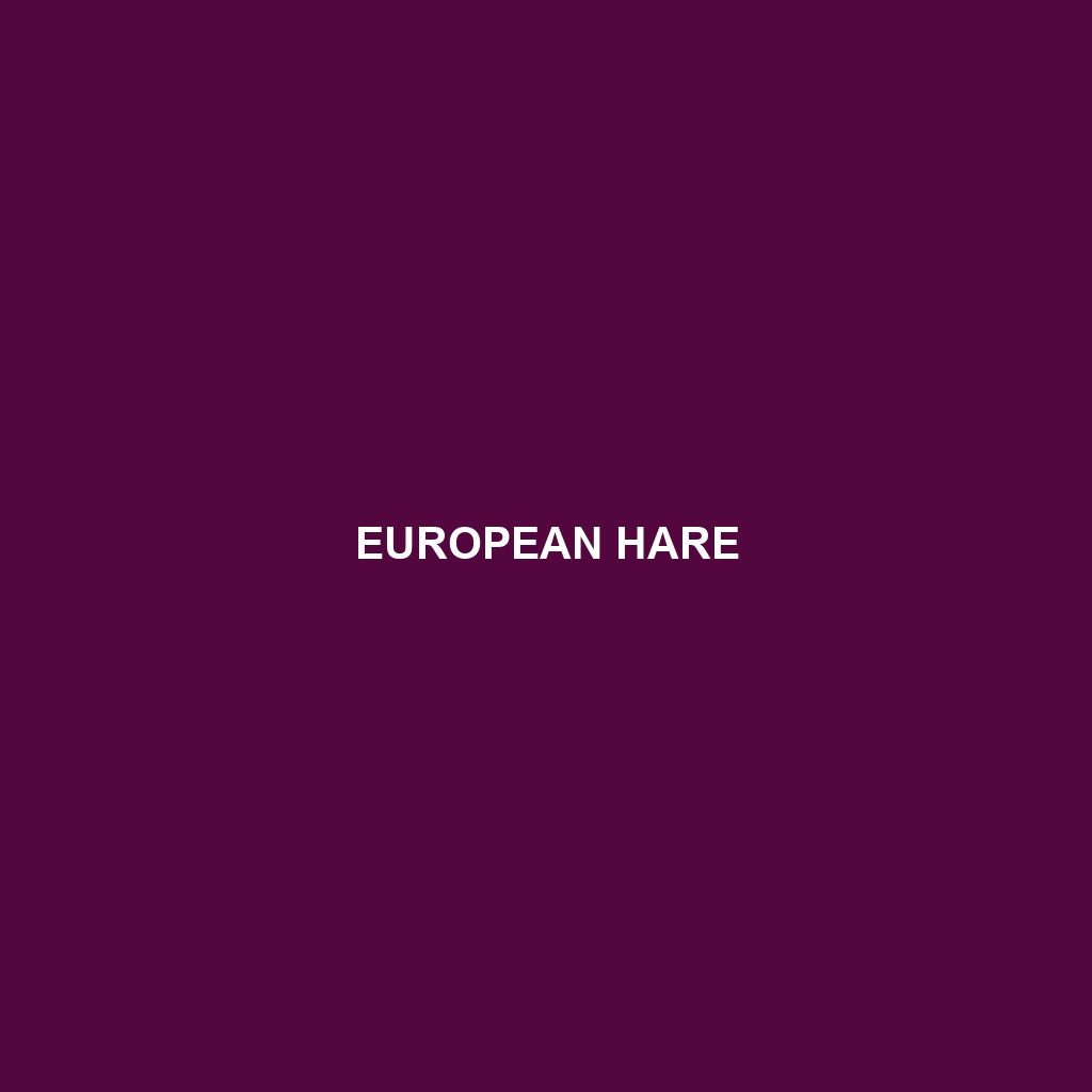 European Hare