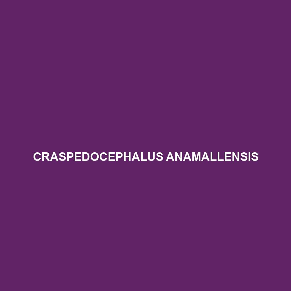 Craspedocephalus anamallensis