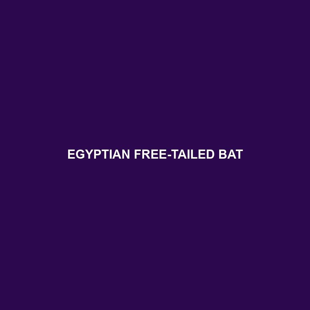 Egyptian Free-tailed Bat