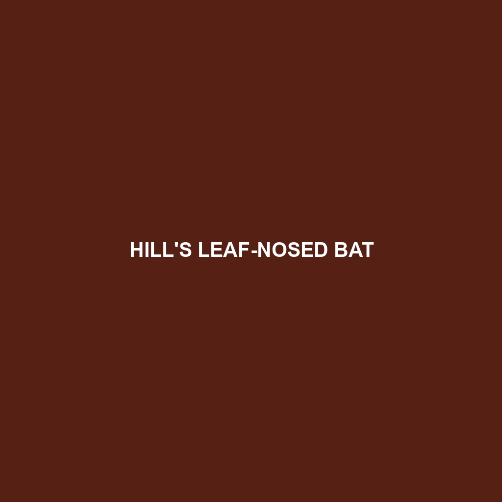 Hill's Leaf-nosed Bat