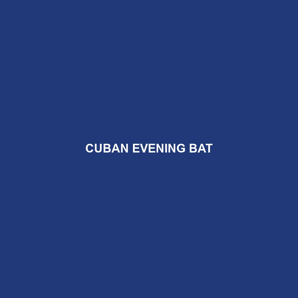 Cuban Evening Bat