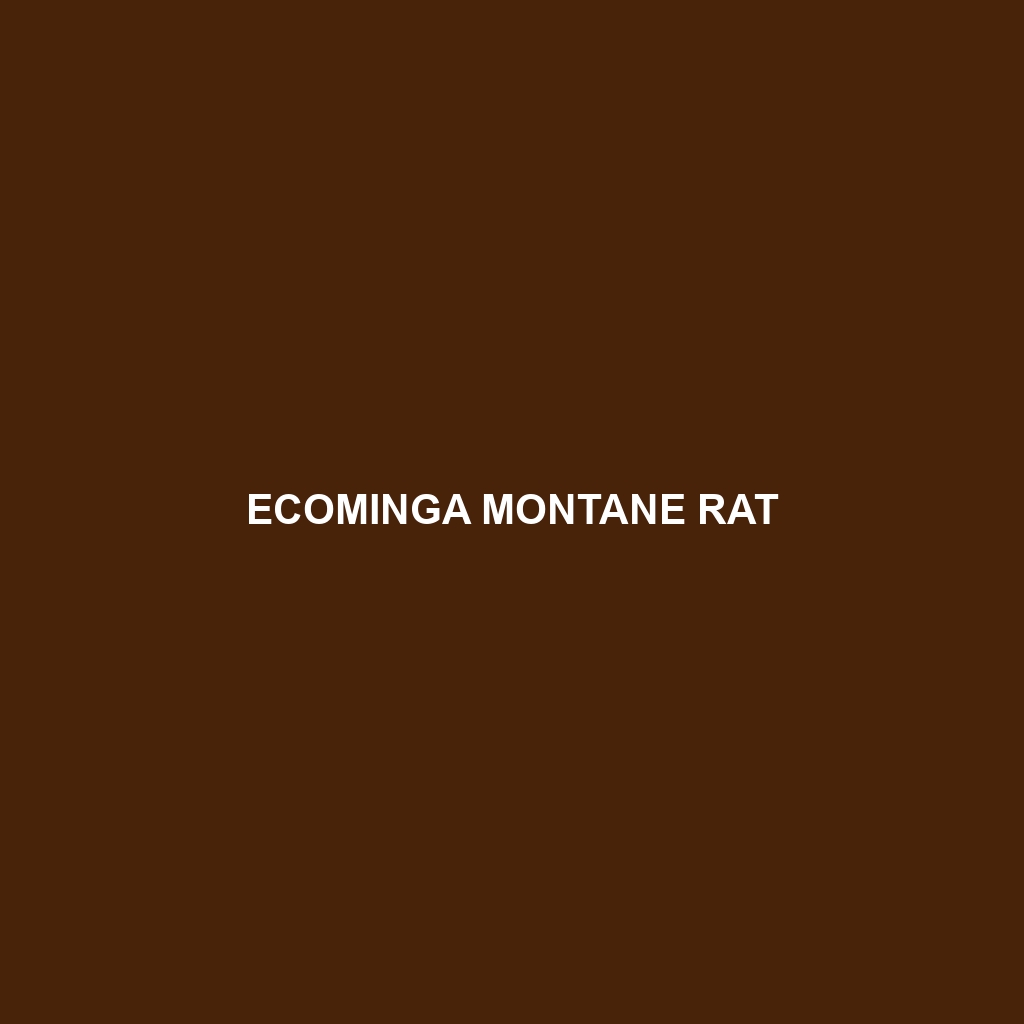 Ecominga Montane Rat