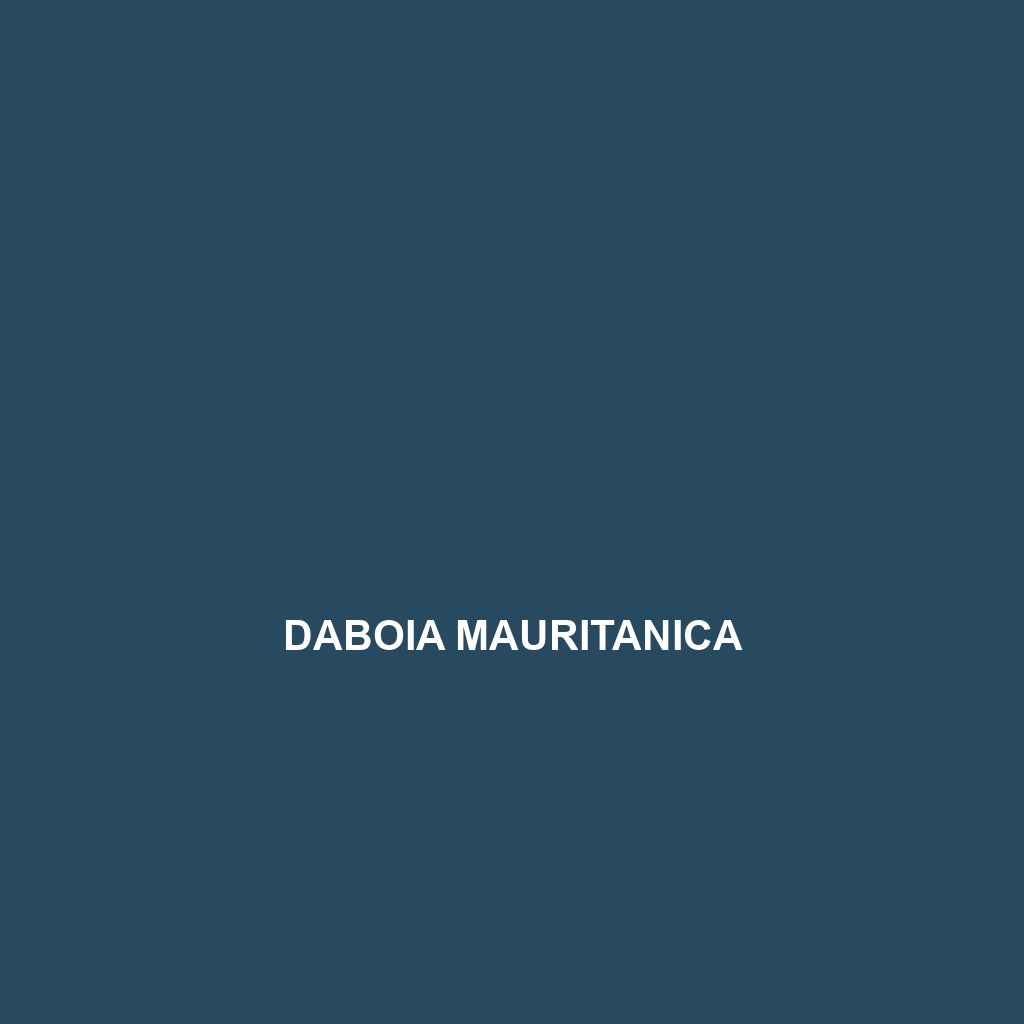 Daboia mauritanica