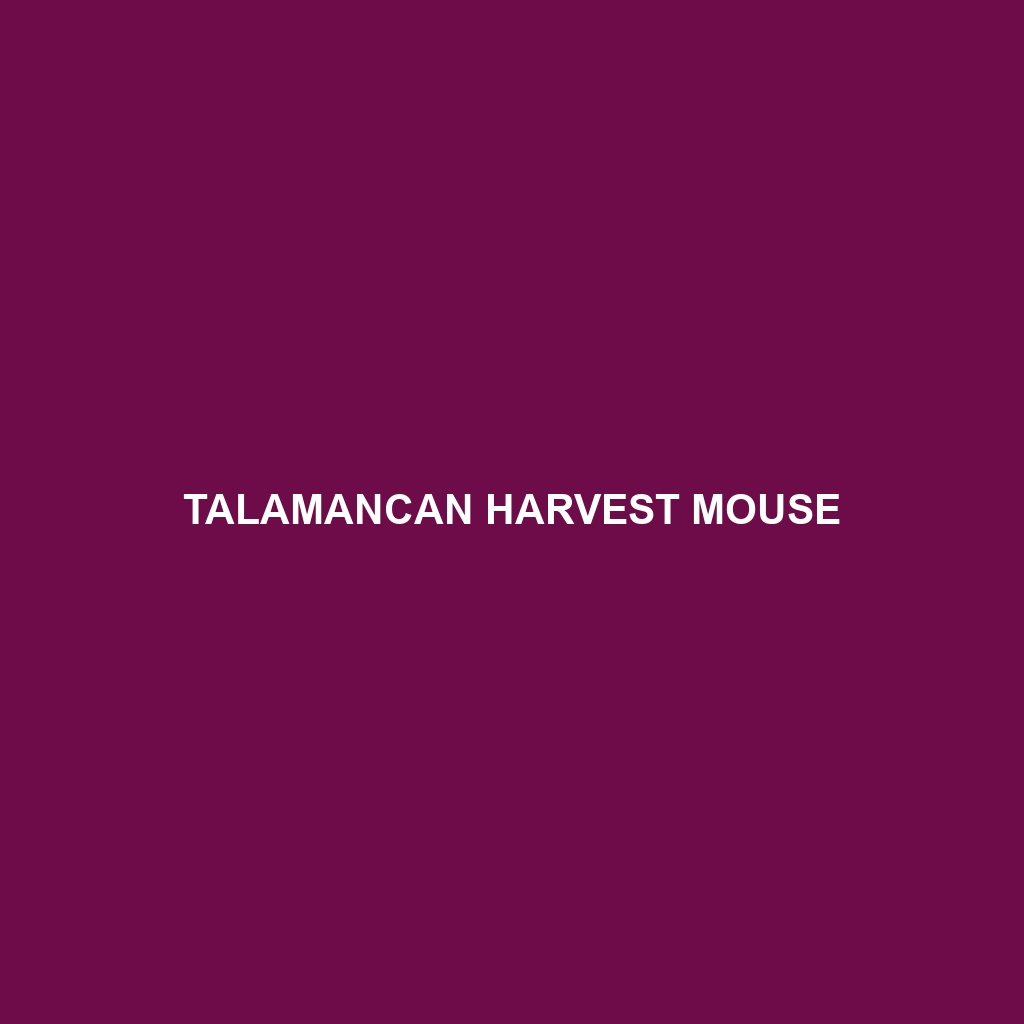 Talamancan Harvest Mouse