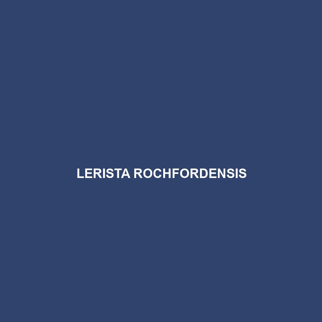 Lerista rochfordensis