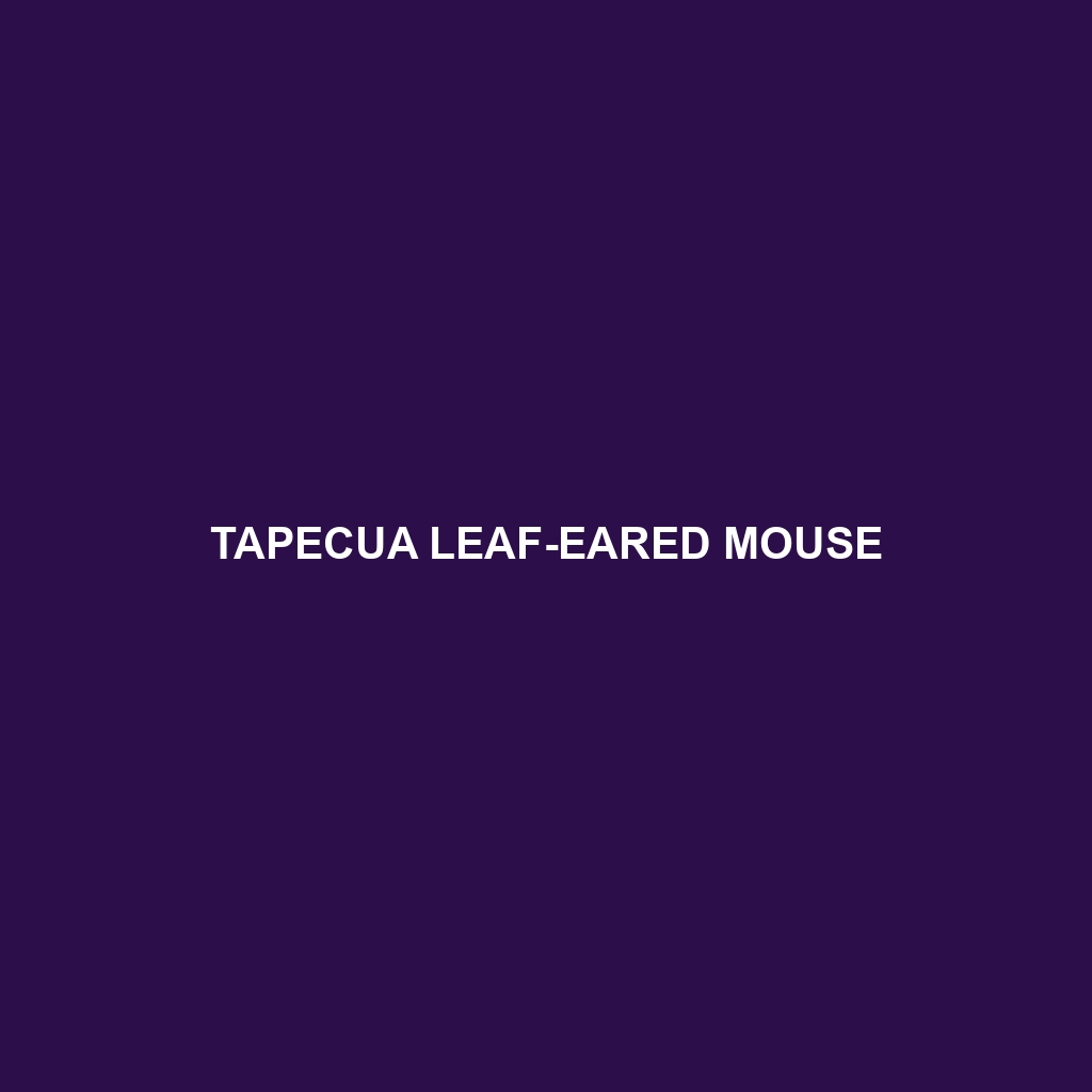 Tapecua Leaf-eared Mouse