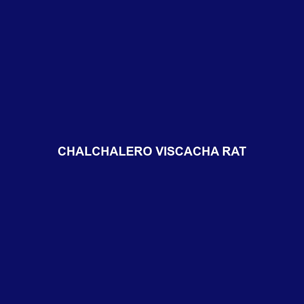 Chalchalero Viscacha Rat