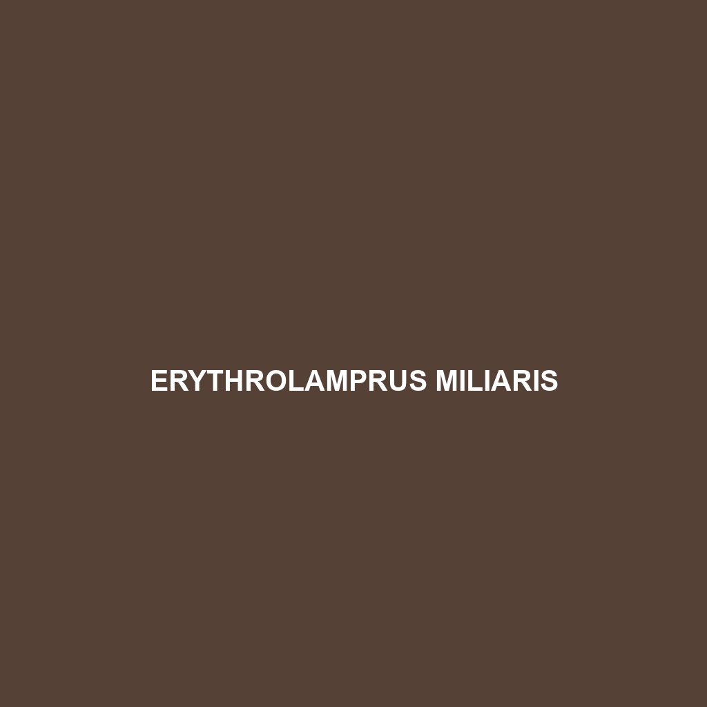 Erythrolamprus mertensi