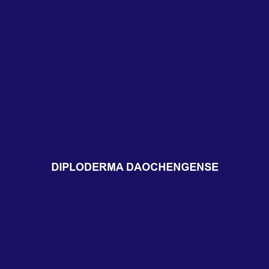 Diploderma daochengense