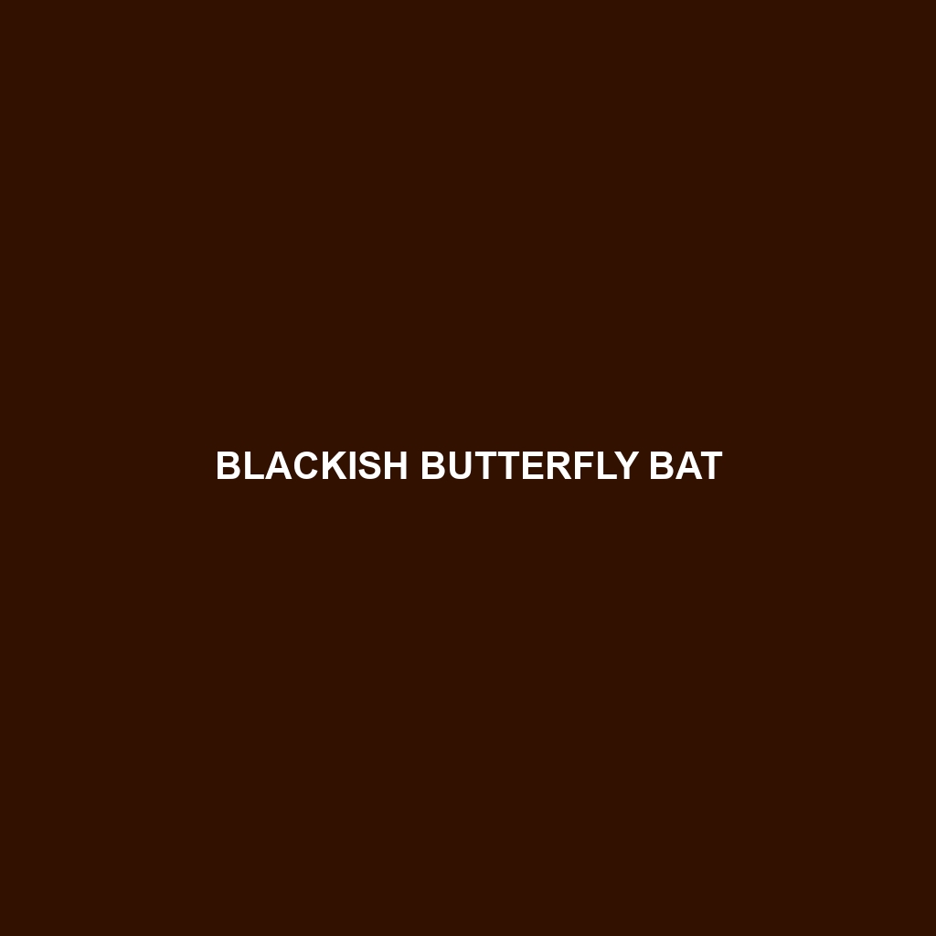 Blackish Butterfly Bat