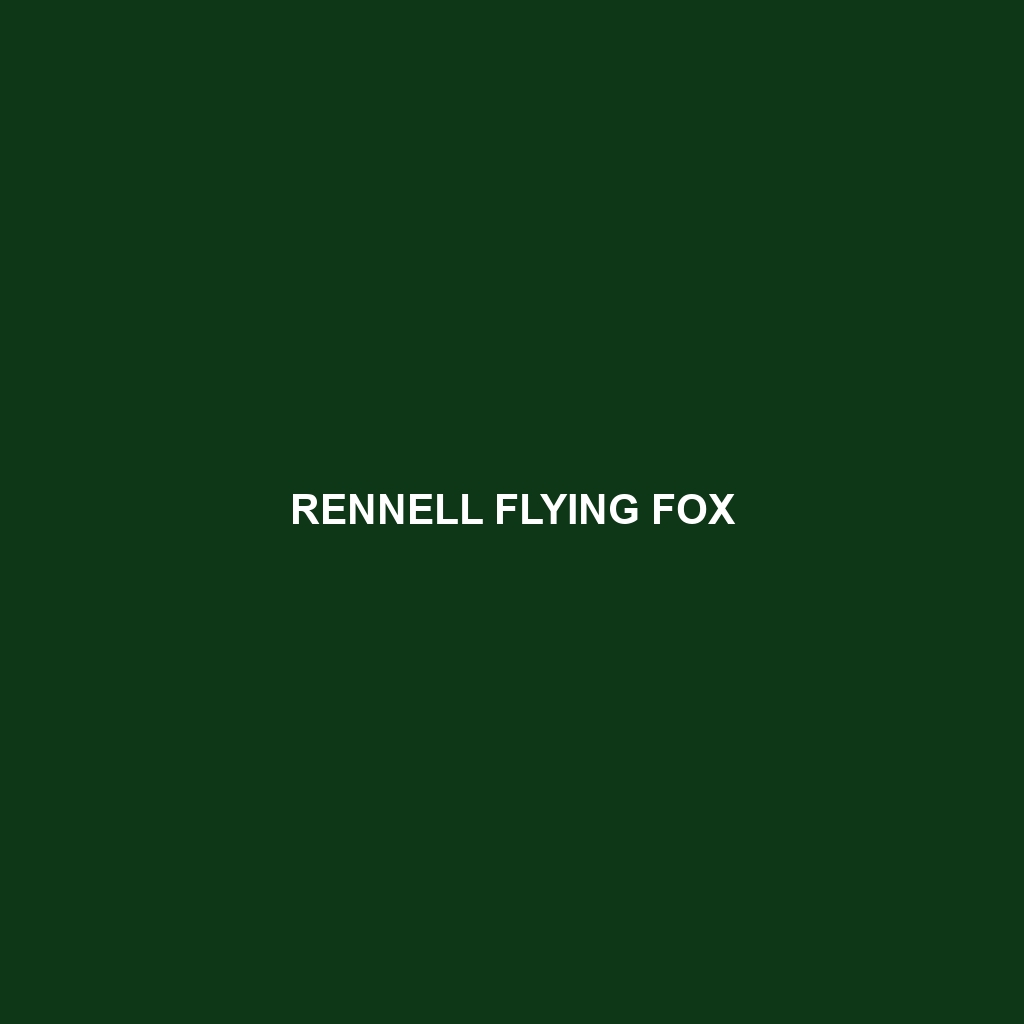 Rennell Flying Fox