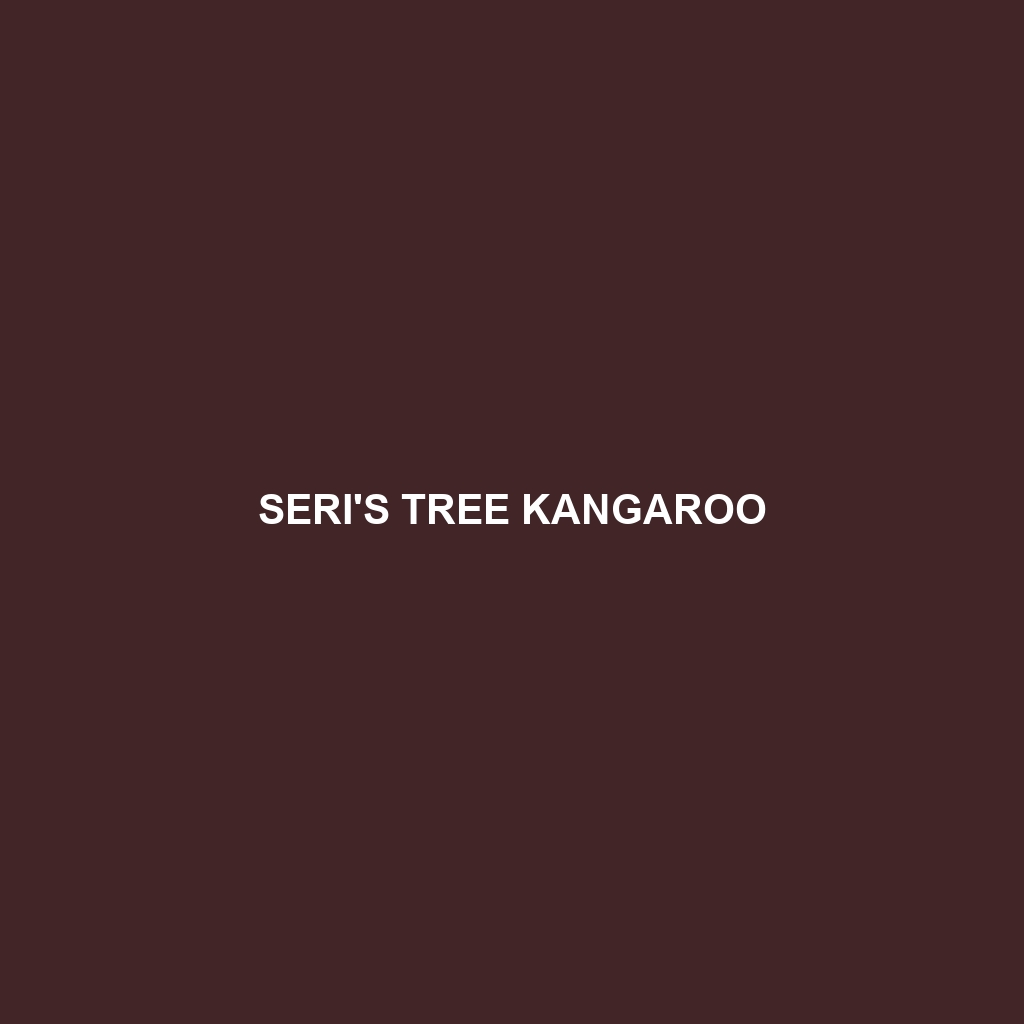 Seri's Tree Kangaroo