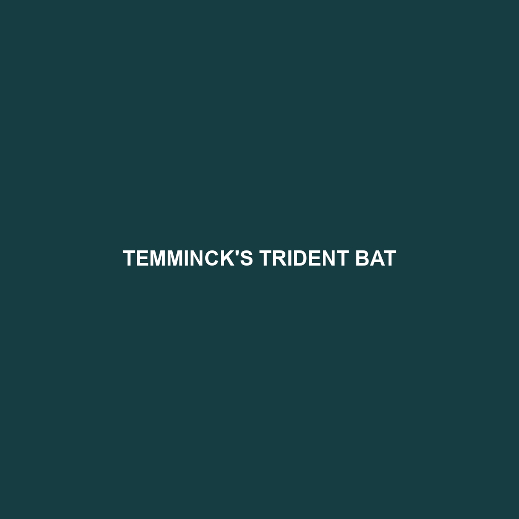 Temminck's Trident Bat