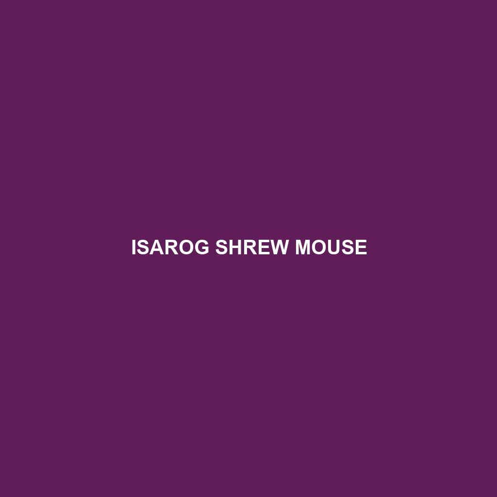 Isarog Shrew Mouse