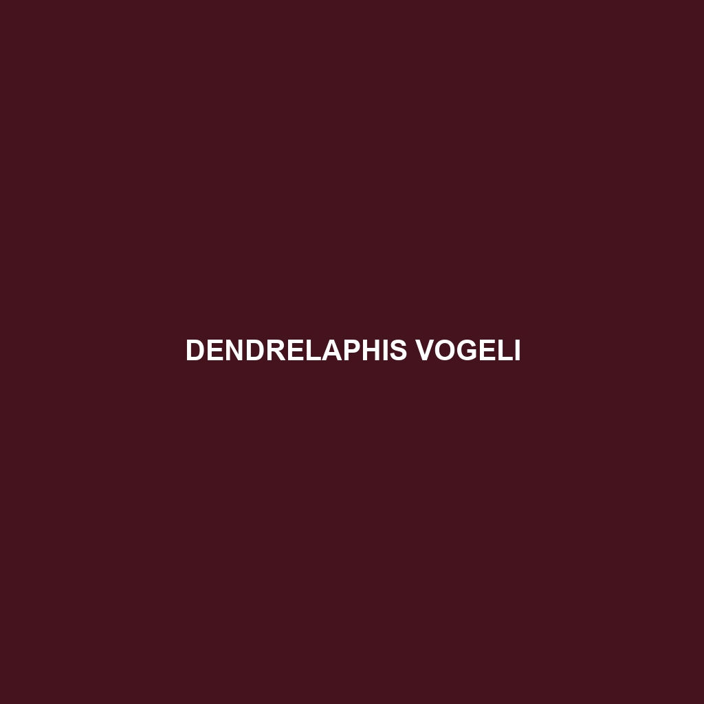 Dendrelaphis vogeli