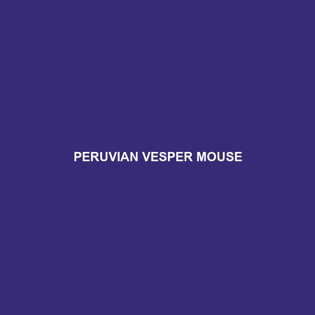 Peruvian Vesper Mouse