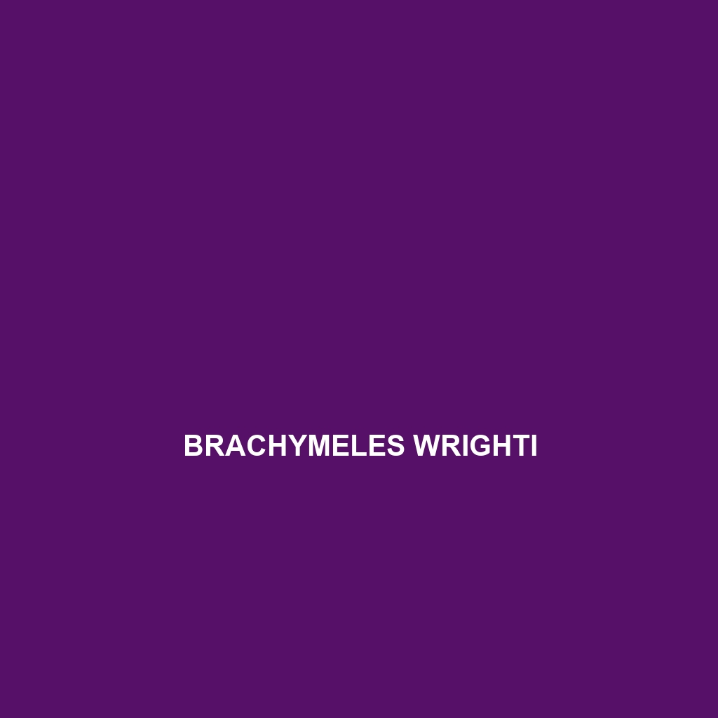 Brachymeles wrighti