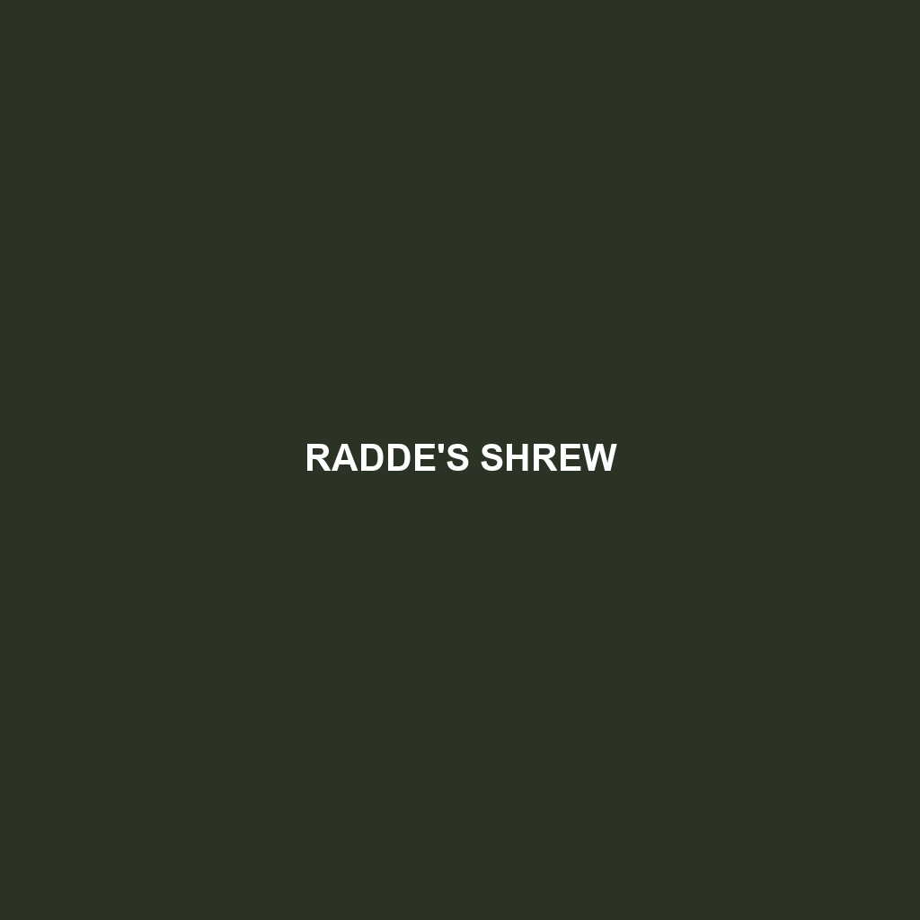 Radde's Shrew