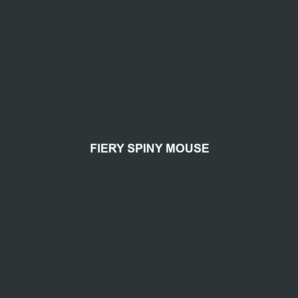 Fiery Spiny Mouse