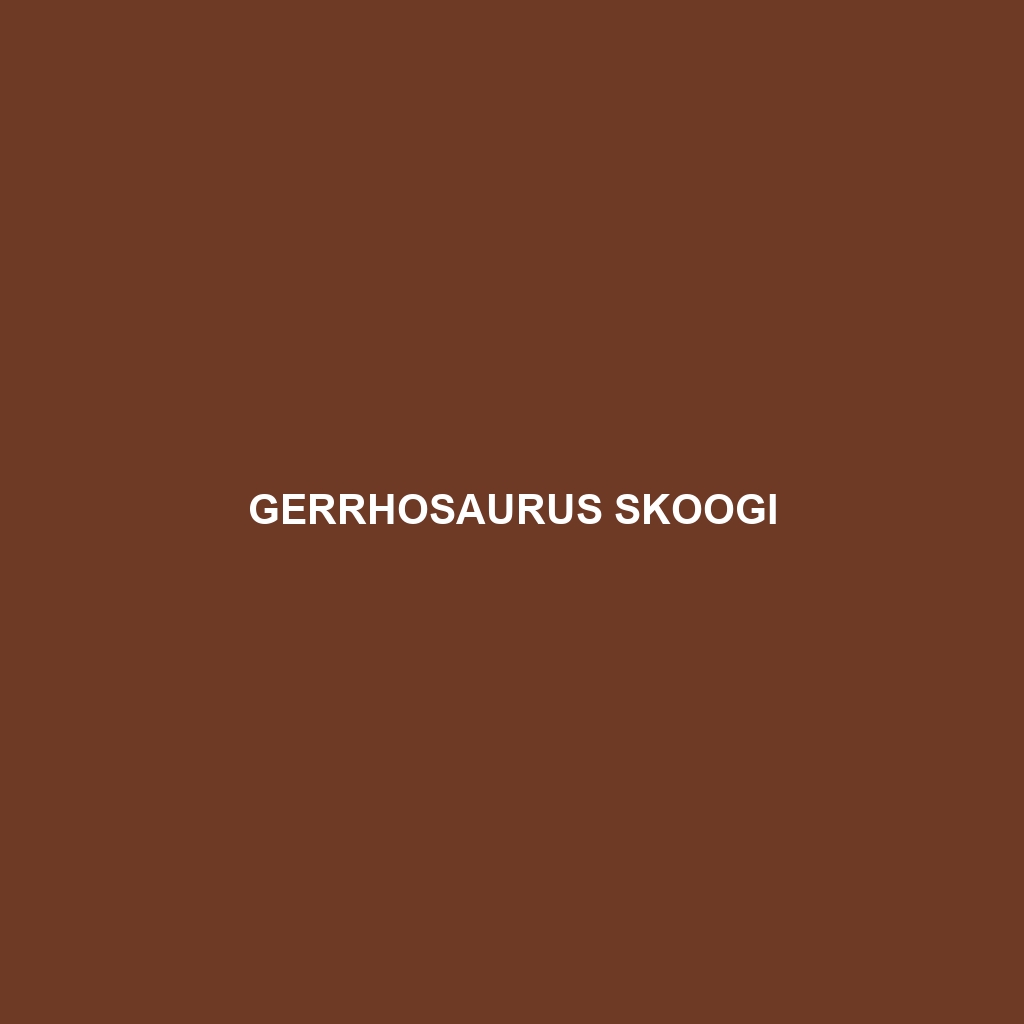 Gerrhosaurus skoogi