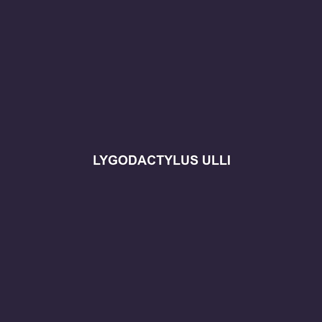 Lygodactylus ulli