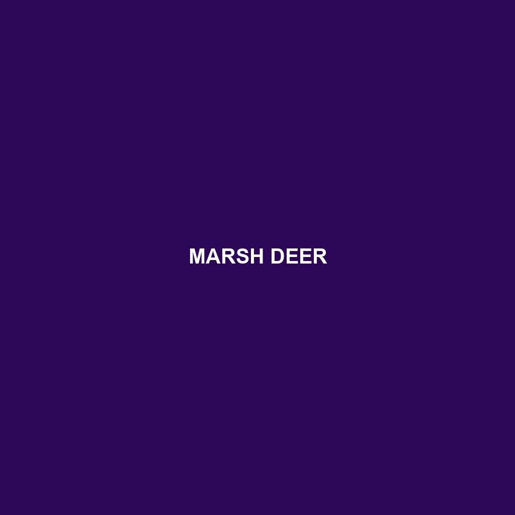 Marsh Deer