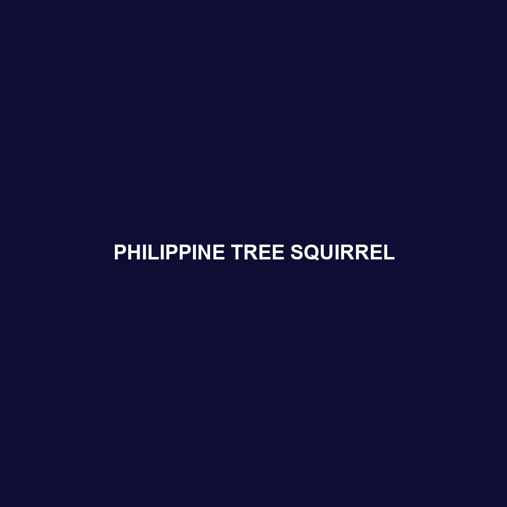 Philippine Tree Squirrel