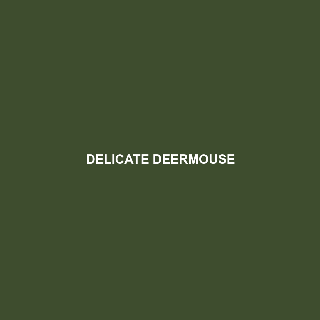 Delicate Deermouse