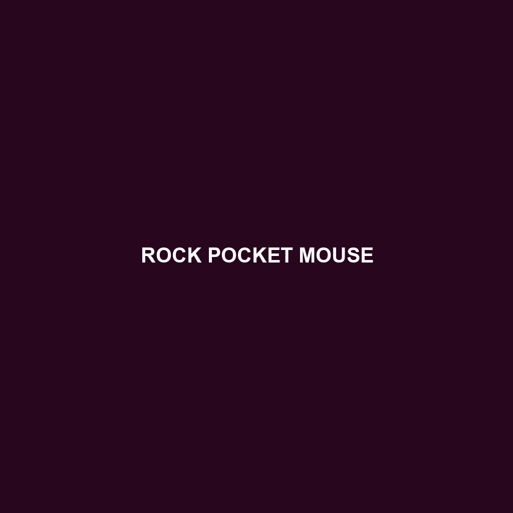 Rock Pocket Mouse