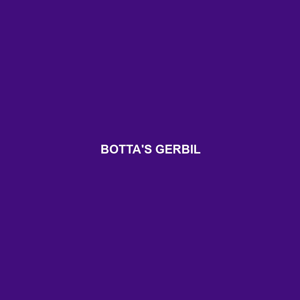 Botta's Gerbil