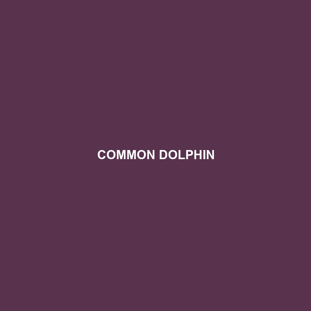 Common Dolphin