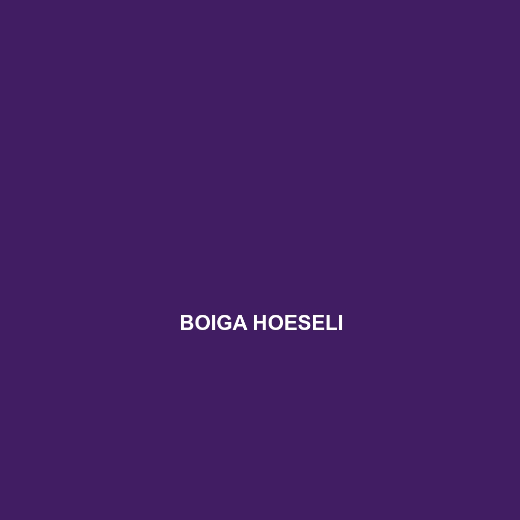 Boiga hoeseli